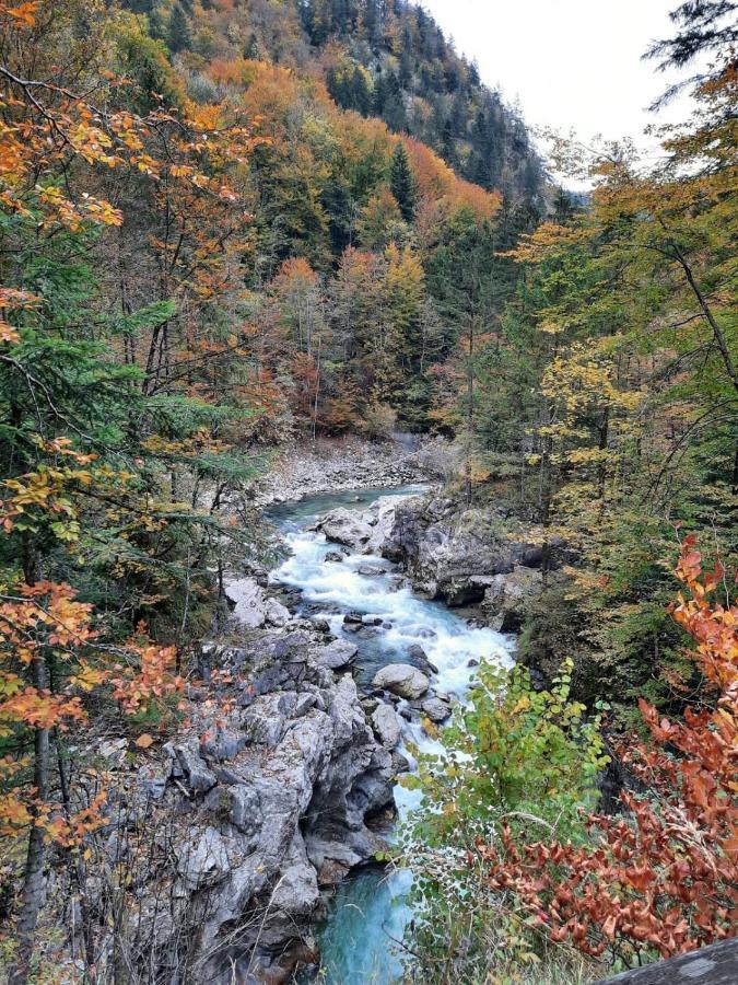 Steinerhaus Berggasthof Grobming Bagian luar foto