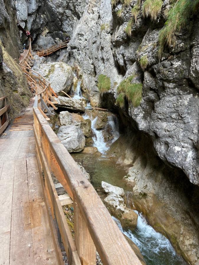 Steinerhaus Berggasthof Grobming Bagian luar foto